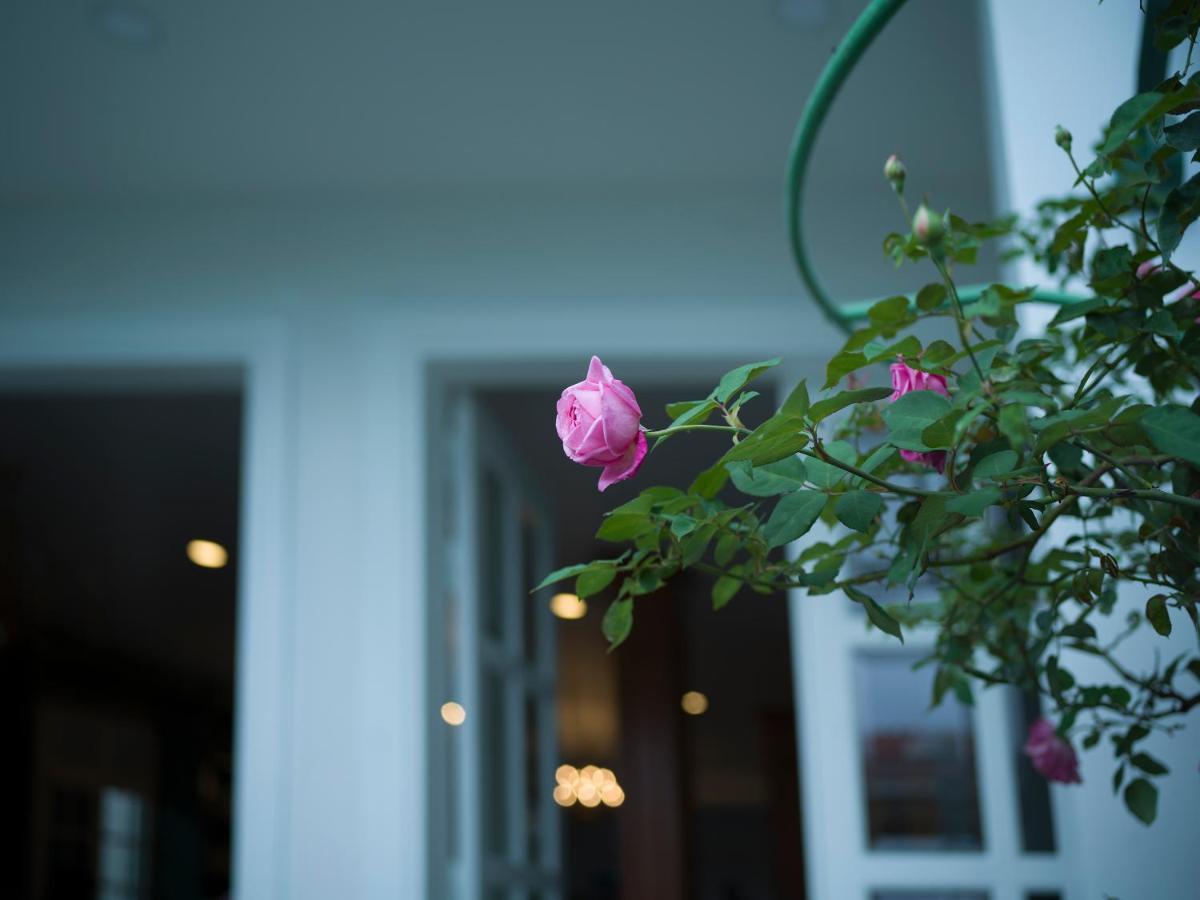 דה לאט Le Soleil Boutique Hotel מראה חיצוני תמונה