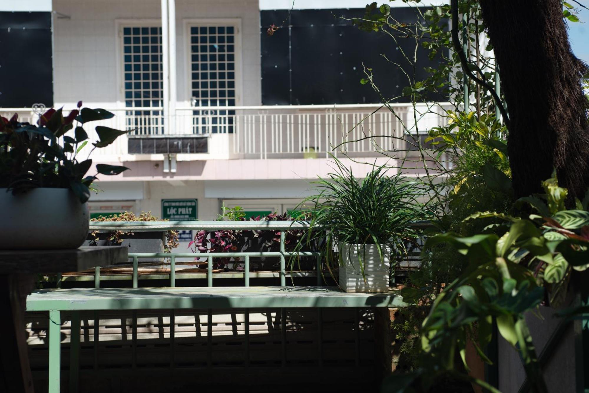 דה לאט Le Soleil Boutique Hotel מראה חיצוני תמונה