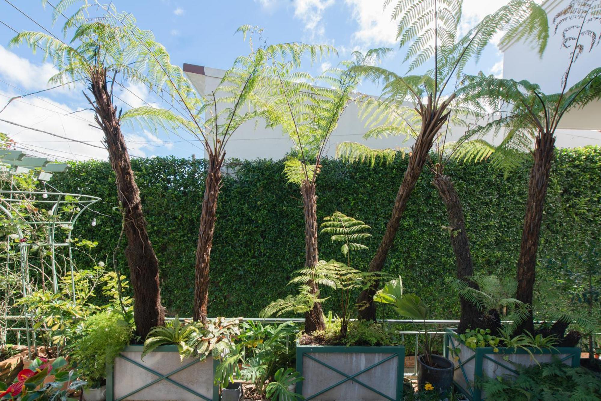 דה לאט Le Soleil Boutique Hotel מראה חיצוני תמונה