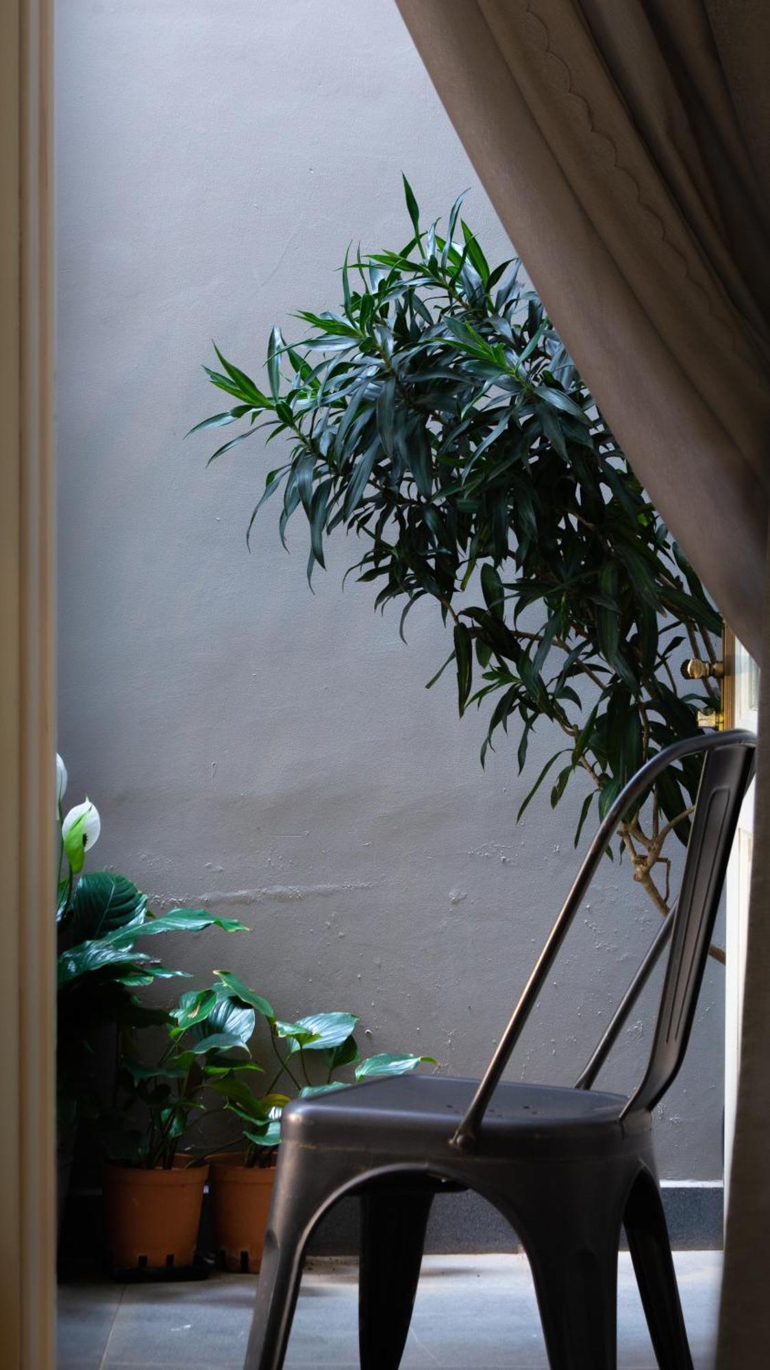דה לאט Le Soleil Boutique Hotel מראה חיצוני תמונה
