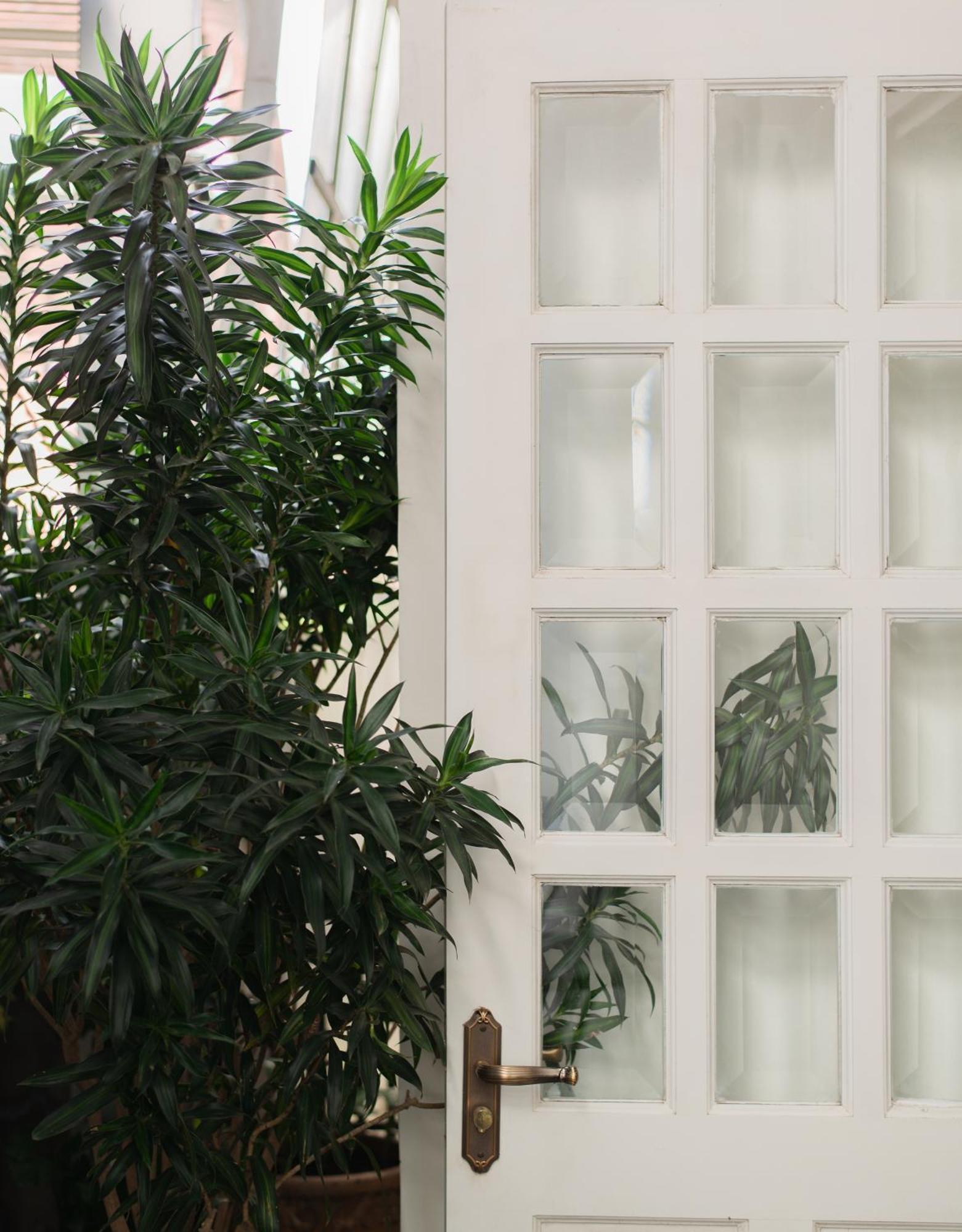 דה לאט Le Soleil Boutique Hotel מראה חיצוני תמונה